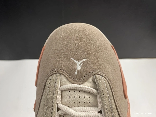 Terra Blush 14 DC9857-200 AIR Retro Jordan Clot Low 0714